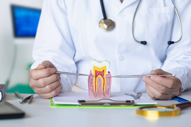 Best Emergency Tooth Extraction in Fremont, NC